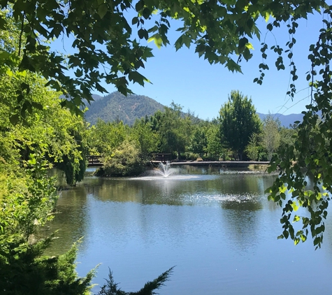 Schmidt Family Vineyards - Grants Pass, OR