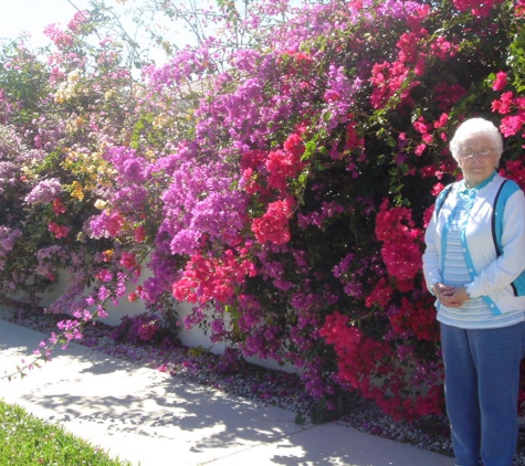 Thompson Irrigation - Marco Island, FL