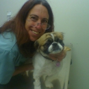 Spring Valley Animal Hospital - Veterinary Clinics & Hospitals