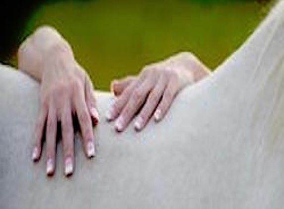 Serenity Animal Massage - Chattanooga, TN