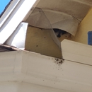 Chris Harlow's Wildlife Services - Cleaning Contractors