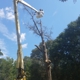 MM&H Tree Service