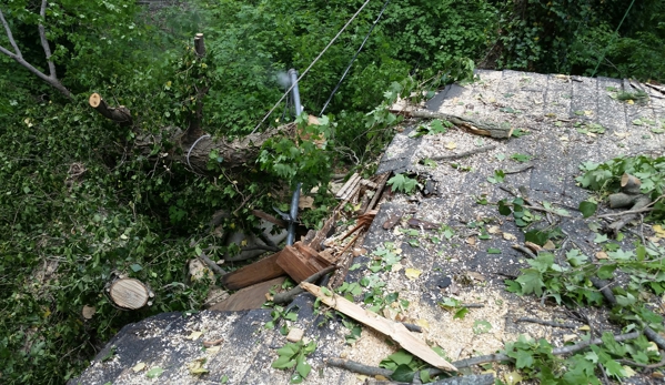 AMER TREE XPERTS  & LNDSCPNG - Evansville, IN. Storm causing some serious damage to this house.