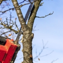 Robertson Tree Service - Tree Service