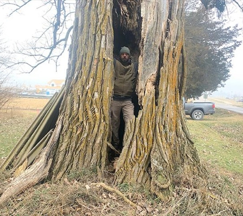 Tree Guys Of Iowa City Corridor - North Liberty, IA