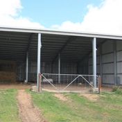 Gallery Image Number 3