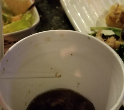 Takara Steakhouse - Vero Beach, FL. Ants in my son's drink.