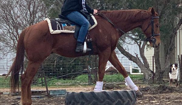 Warwick Veterinary Clinic - Warwick, QLD. Ott labelled wrong by vet, nothing about that horse is unpredictable