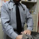 Alta Animal Hospital - Veterinarian Emergency Services