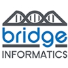 Bridge Informatics gallery