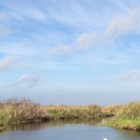 St Johns National Wildlife Refuge