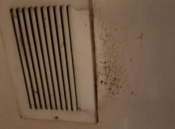 Bell Air Conditioning - Irving, TX. Mold/Mildew growing on vent in kitchen.