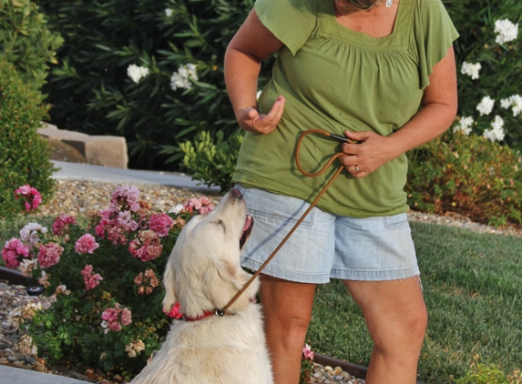 Black Dog Walking and Animal Care - Antioch, CA