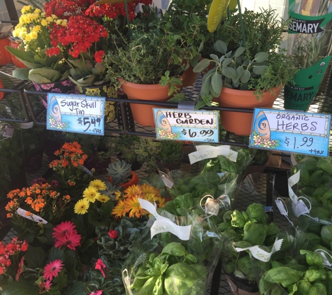 Trader Joe's - San Diego, CA