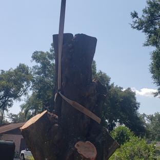 Joe's Tree Service - Plant City, FL