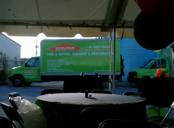 Servpro  Of Spring Hill - Port Richey, FL