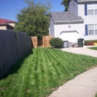 Custom Lawn Manicuring