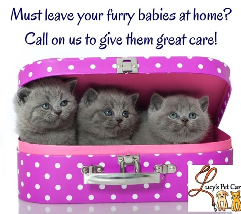 Lucy's Pet Care - Durham, NC