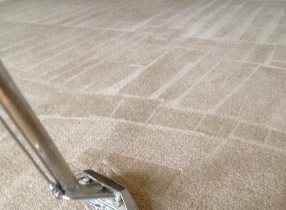 Achilles Carpet Cleaning Inc - Wyandotte, MI