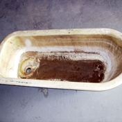 Gallery Image Number 7