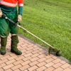 Lions Tree & Landscaping gallery