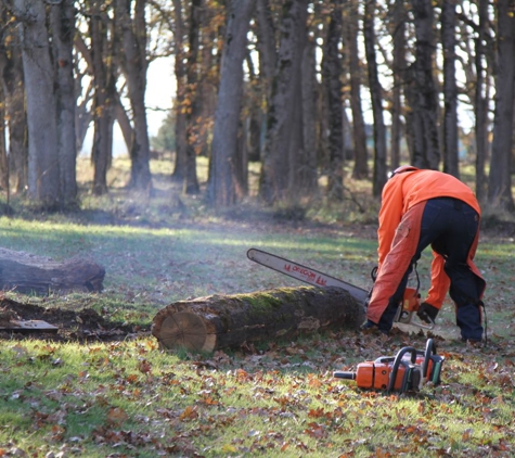 Oregon Woodsmen Tree Service - Rickreall, OR