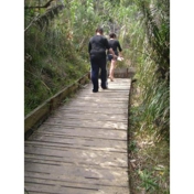 Gallery Image Number 2