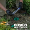 Russell's Pest Control gallery