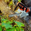 Real Mountain Tree Service gallery