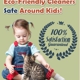 Carpet Cleaning The Woodlands