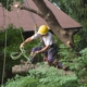 Professional Lot Clearing & Tree Service