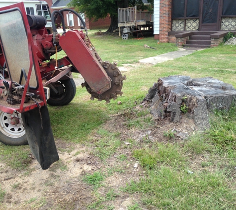 Capital City Stump Grinding