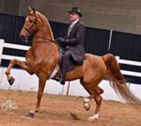 Glendale Stables - Columbia, MO