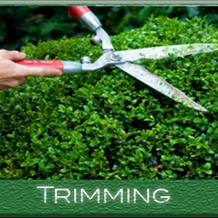 Without Compare Lawn & Tree Care - Kingsland, GA