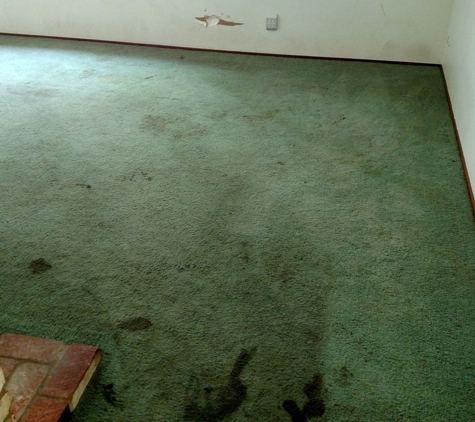 Excellence Carpet & Upholstery Cleaning - Davis, CA