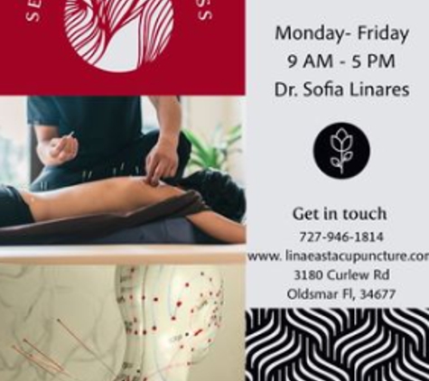 Lina East Acupuncture - Oldsmar, FL