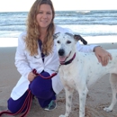 Flagler Animal Hospital - Veterinarian Emergency Services