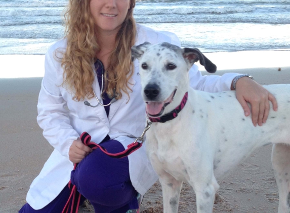 Flagler Animal Hospital - Flagler Beach, FL