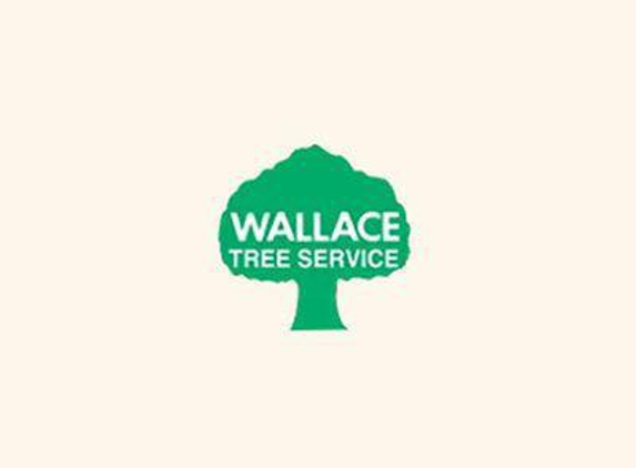 Wallace Tree Service - Wakefield, RI