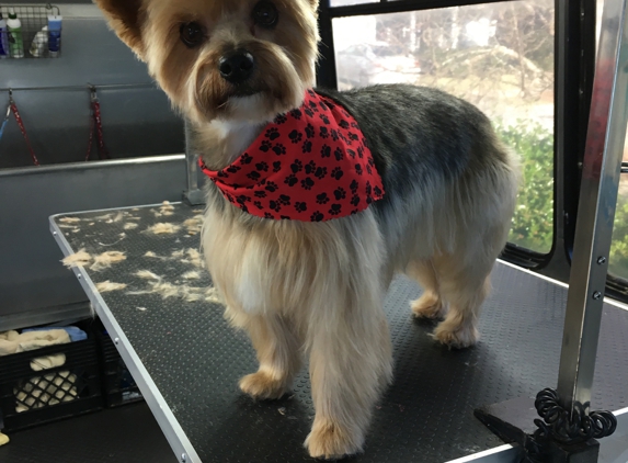 Groom Vroom - Mobile Pet Grooming - Tallahassee, FL