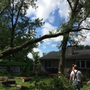 All Clear Tree Service - Tree Service
