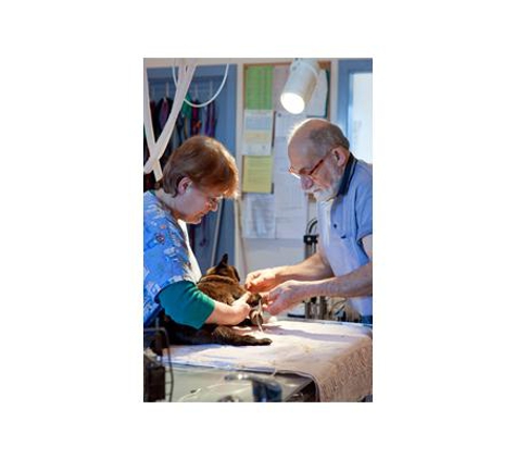 Beach Street Veterinary Clinic - Frankston, VIC
