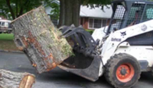 Serious Tree Services - Powder Springs, GA