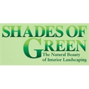 Shades of Green - Plants-Interior Design & Maintenance