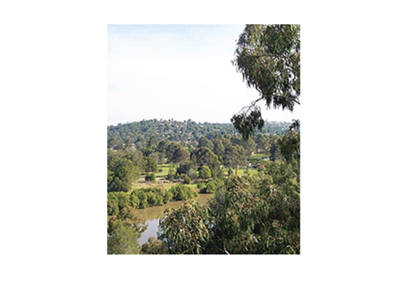 Vinton Tree Services & Plant Hire - Kingston, QLD
