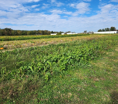 Braehead Farm Inc - Fredericksburg, VA