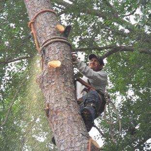 Aldine Tree Services Houston Stump Grinding - Houston, TX. Tree Removal, stump grinding  Bellaire, Cypress, Humble, Katy.  Visit our web site, request a free estimate https://aldinetreeservices.com/