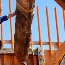 T & W Lumber And Hardware Inc - Lumber