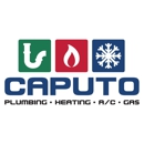 Caputo Mechanical Services Inc. - Fireplaces