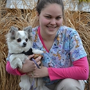 Highway Veterinary Hospital - Veterinarians